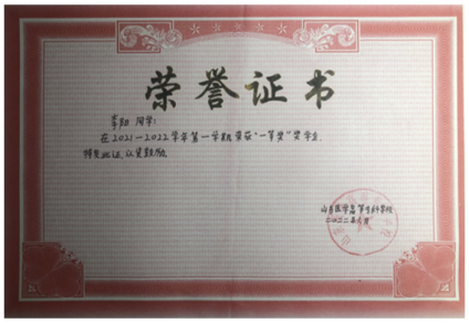 图片11 图片11